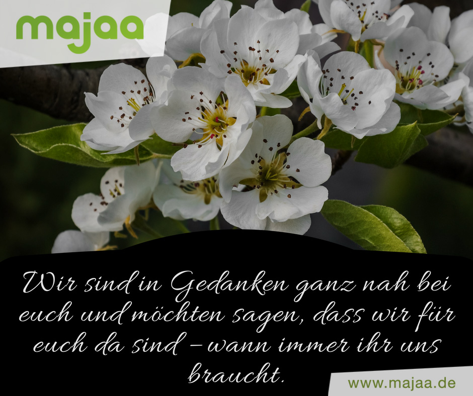 Get Sprueche anteilnahme troestende worte beileid Desktop Wallpaper Free