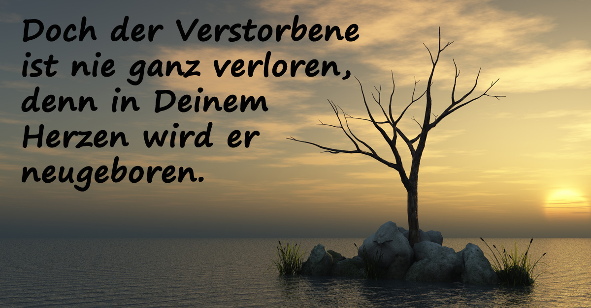 Kostenloses christliches dating für leute über 50 websites