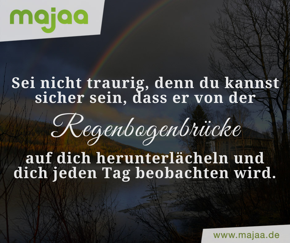 Kostenlose Trauersprüche und Trauertexte für Vater und Papa