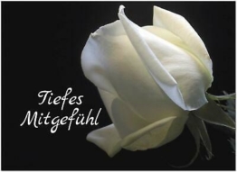 15 Trauer-Danksagungskarten Trauer-karten Umschlag edel Motiv Lilien Danke