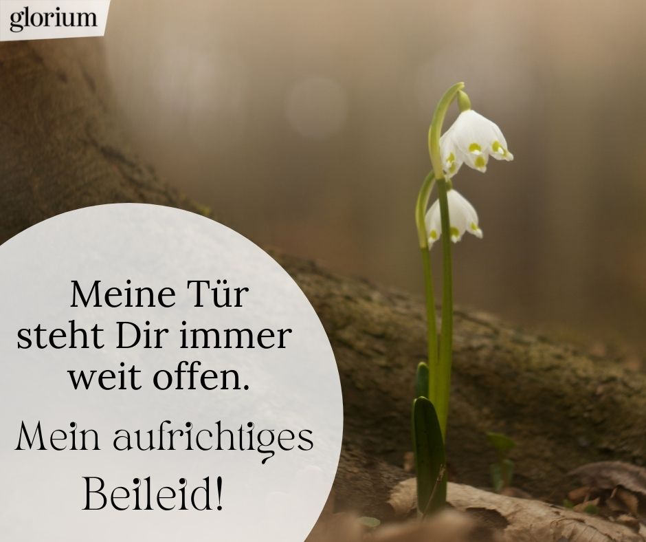 972-beileidsbekundungen-beileid-beileidssprueche-texte-kondolenz-beileidsschreiben-beileidskarten-bild-trauer-trauerspruch-glorium-blume-baum-meine-tuer