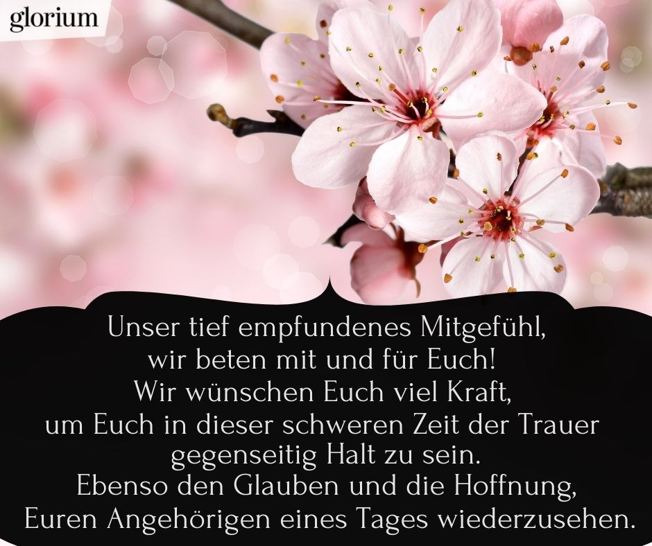 993-beileidsbekundungen-beileid-beileidssprueche-texte-kondolenz-beileidsschreiben-beileidskarten-bild-trauer-trauerspruch-glorium-beten-mit-euch