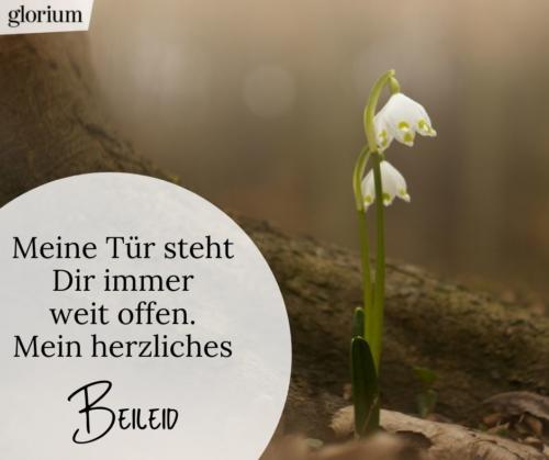 972-beileidsbekundungen-beileid-beileidssprueche-texte-kondolenz-beileidsschreiben-beileidskarten-bild-trauer-trauerspruch-glorium-blume-baum-meine-tuer