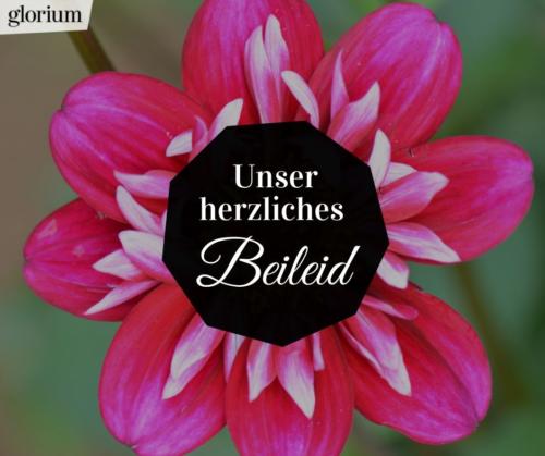 975-beileidsbekundungen-beileid-beileidssprueche-texte-kondolenz-beileidsschreiben-beileidskarten-bild-trauer-trauerspruch-glorium-blume-rot