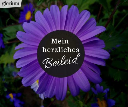 980-beileidsbekundungen-beileid-beileidssprueche-texte-kondolenz-beileidsschreiben-beileidskarten-bild-trauer-trauerspruch-glorium-blume-lila