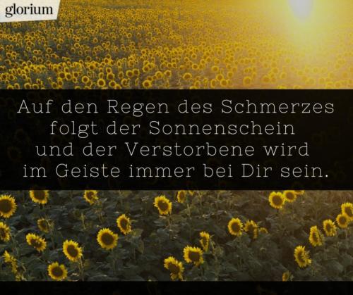 984-beileidsbekundungen-beileid-beileidssprueche-texte-kondolenz-beileidsschreiben-beileidskarten-bild-trauer-trauerspruch-glorium-trauer-im-geiste-sonne-blumen