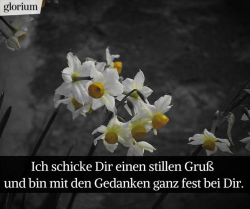 988-beileidsbekundungen-beileid-beileidssprueche-texte-kondolenz-beileidsschreiben-beileidskarten-bild-trauer-trauerspruch-glorium-stillen-gruss-blumen-weiss