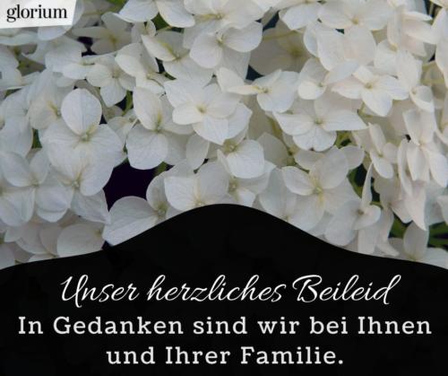 991-beileidsbekundungen-beileid-beileidssprueche-texte-kondolenz-beileidsschreiben-beileidskarten-bild-trauer-trauerspruch-glorium-blumen-weiss-bei-ihnen-und-familie