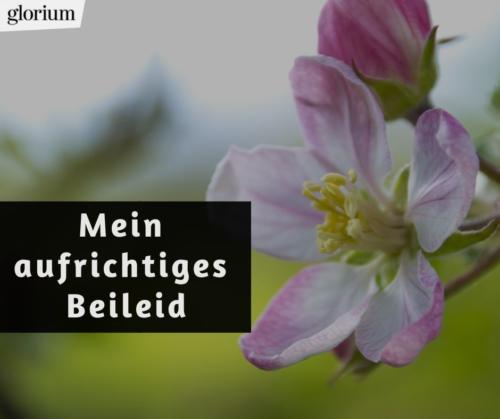 992-beileidsbekundungen-beileid-beileidssprueche-texte-kondolenz-beileidsschreiben-beileidskarten-bild-trauer-trauerspruch-glorium-aufrichtiges-blume