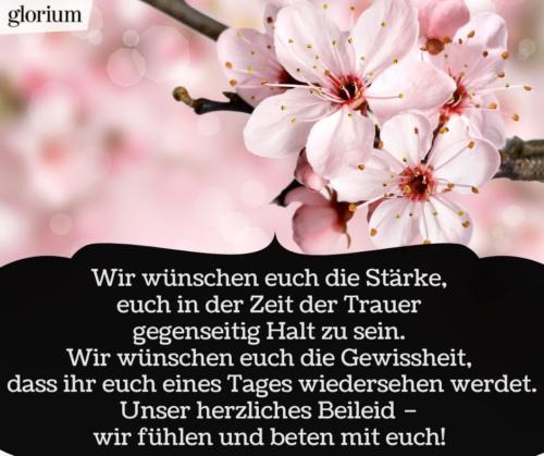 993-beileidsbekundungen-beileid-beileidssprueche-texte-kondolenz-beileidsschreiben-beileidskarten-bild-trauer-trauerspruch-glorium-beten-mit-euch