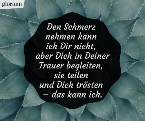 994-beileidsbekundungen-beileid-beileidssprueche-texte-kondolenz-beileidsschreiben-beileidskarten-bild-trauer-trauerspruch-glorium-blume-in-deiner-trauer