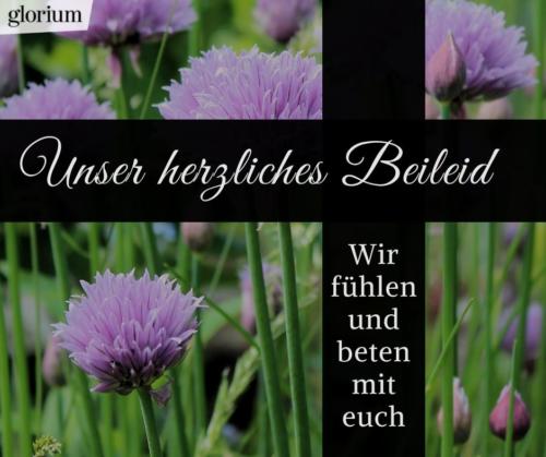 995-beileidsbekundungen-beileid-beileidssprueche-texte-kondolenz-beileidsschreiben-beileidskarten-bild-trauer-trauerspruch-glorium-kreuz-gott-beten-blumen-lila