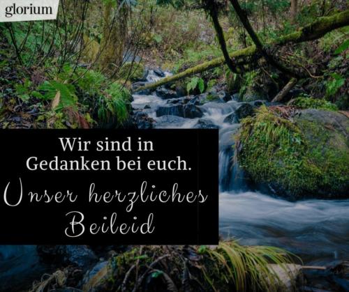 996-beileidsbekundungen-beileid-beileidssprueche-texte-kondolenz-beileidsschreiben-beileidskarten-bild-trauer-trauerspruch-glorium-in-gedanken