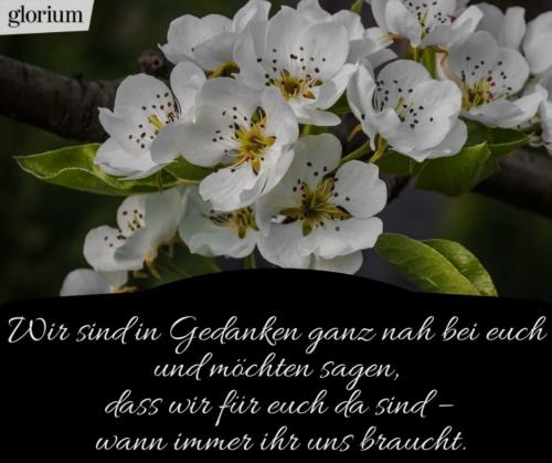 998-beileidsbekundungen-beileid-beileidssprueche-texte-kondolenz-beileidsschreiben-beileidskarten-bild-trauer-trauerspruch-glorium-blumen-weiss-ganz-nah-bei-euch