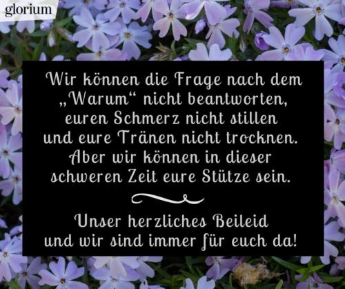 999-beileidsbekundungen-beileid-beileidssprueche-texte-kondolenz-beileidsschreiben-beileidskarten-bild-trauer-trauerspruch-glorium-unser-herzliches-blumen