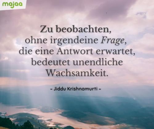 7947-sprueche-zitate-nachdenken-weisheiten-lebensweisheiten-leben-liebe-spirituell-energie-positiv-majaa-bilder-zu-beobachten