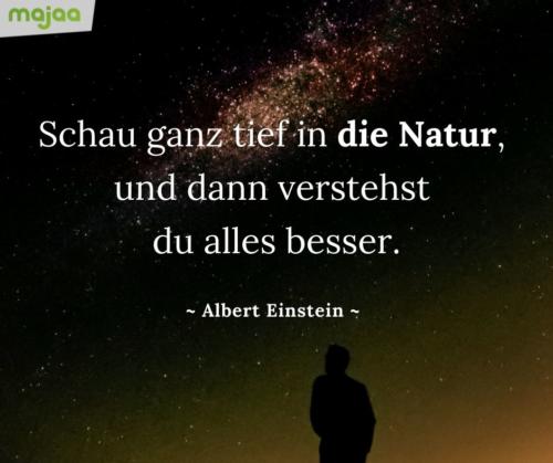 7952-sprueche-zitate-nachdenken-weisheiten-lebensweisheiten-leben-liebe-spirituell-energie-positiv-majaa-bilder-schau-natur