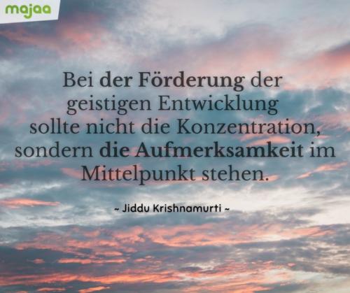 7954-sprueche-zitate-nachdenken-weisheiten-lebensweisheiten-leben-liebe-spirituell-energie-positiv-majaa-bilder-aufmerksamkeit