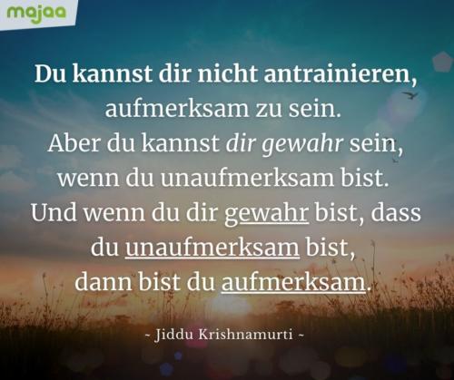 7960-sprueche-zitate-nachdenken-weisheiten-lebensweisheiten-leben-liebe-spirituell-energie-positiv-majaa-bilder-aufmerksam