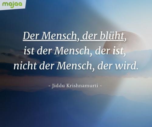 7966-sprueche-zitate-nachdenken-weisheiten-lebensweisheiten-leben-liebe-spirituell-energie-positiv-majaa-bilder-mensch-blueht