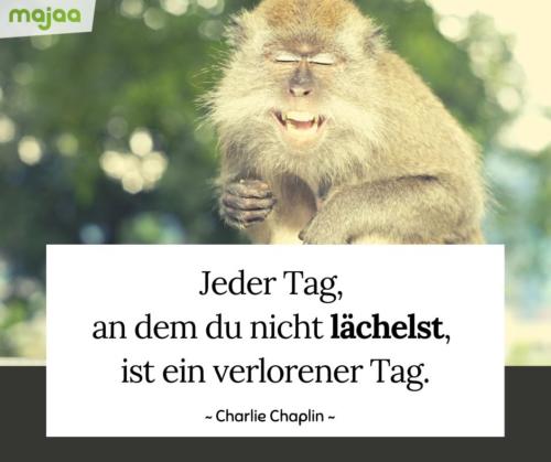 7974-sprueche-zitate-nachdenken-weisheiten-lebensweisheiten-leben-liebe-spirituell-energie-positiv-majaa-nicht-laechelst