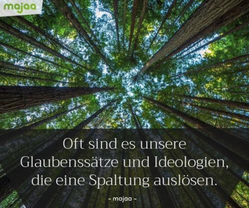 7984-lebensweisheiten-spirituell-sprueche-zitate-nachdenken-weisheiten-leben-liebe-energie-positiv-bilder-majaa-spaltung-ausloesen