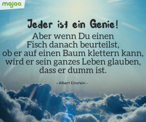 8000-sprueche-zitate-nachdenken-weisheiten-lebensweisheiten-leben-liebe-spirituell-energie-schoen-herzlich-positiv-majaa-jeder-ist-ein-genie