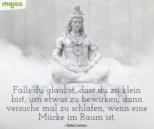 8005-sprueche-zitate-nachdenken-weisheiten-lebensweisheiten-leben-liebe-spirituell-energie-schoen-herzlich-positiv-majaa-glaubst-zu-klein-muecke-raum