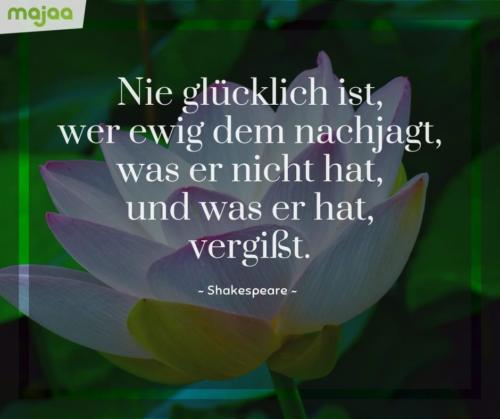 8046-sprueche-zitate-nachdenken-weisheiten-lebensweisheiten-leben-liebe-spirituell-energie-schoen-herzlich-positiv-majaa-nie-gluecklich