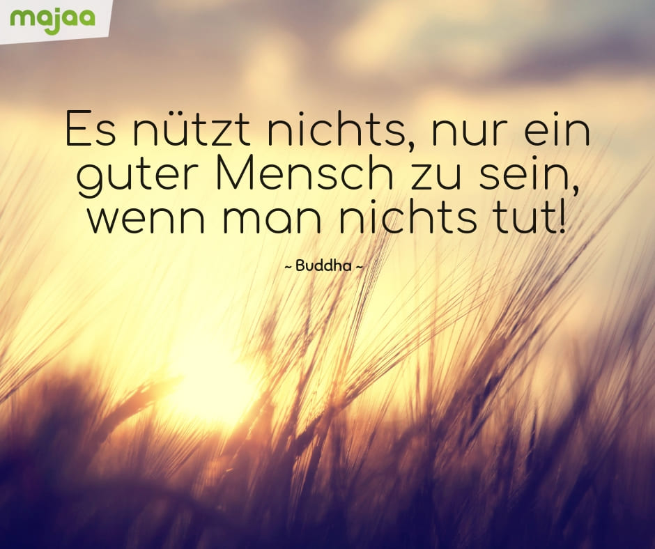 Bilder mit Sprüchen & Zitaten zum Nachdenken
