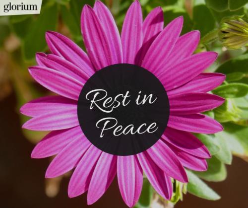 983-rest-in-peace-r-i-p-bilder-trauer-sprueche-karte-trauer-tot-beileid-gedenken-glorium-blume-lila-liebe