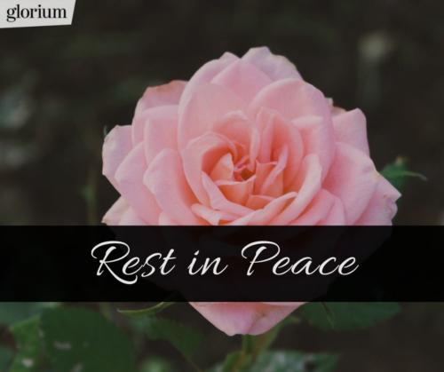 987-rest-in-peace-r-i-p-bilder-trauer-sprueche-karte-trauer-tot-beileid-gedenken-glorium-tod-rose-rosa