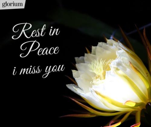 990-r-i-p-rest-in-peace-bilder-trauer-sprueche-karte-trauer-tot-beileid-gedenken-glorium-schoene-glorium-blume-weiss-liebe