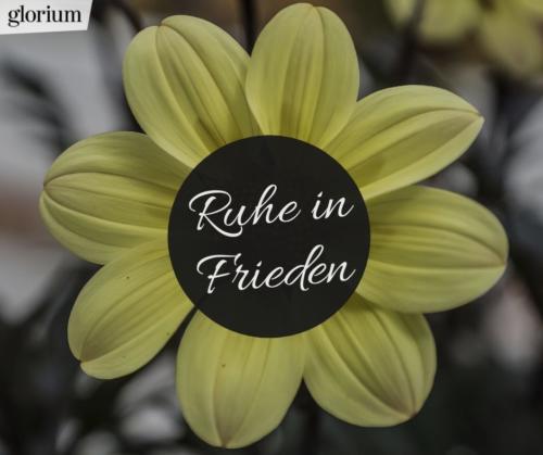 991-ruhe-in-frieden-bilder-trauer-sprueche-karte-trauer-tot-beileid-gedenken-glorium-blume-gelb