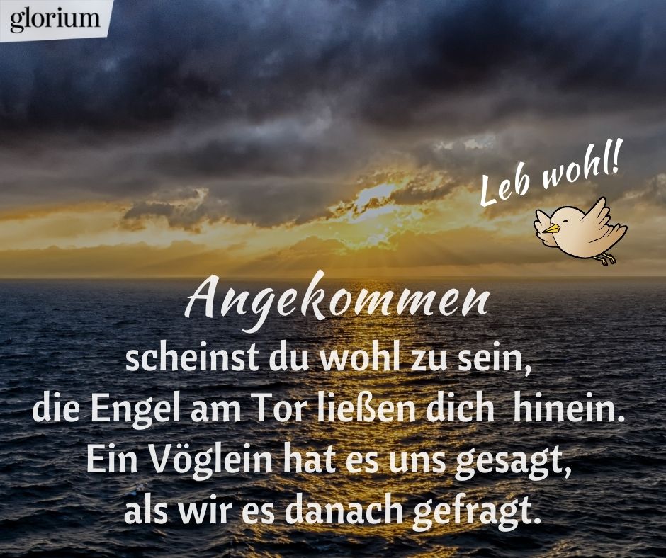 150+ Trauerbilder 🕯️ mit einfühlsamen Trauersprüchen