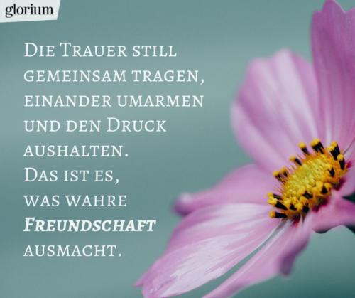 920-trauersprueche-trauerverse-texte-trauerbild-trauerkarte-bilder-trauer-trauerhilfe-karte-glorium-wahre-freundschaft-blume-lila