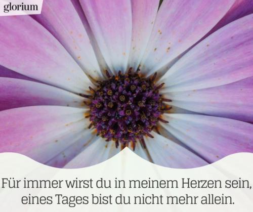 930-trauersprueche-trauerverse-texte-trauerbild-trauerkarte-bilder-trauer-trauerhilfe-karte-glorium-herzen-blume