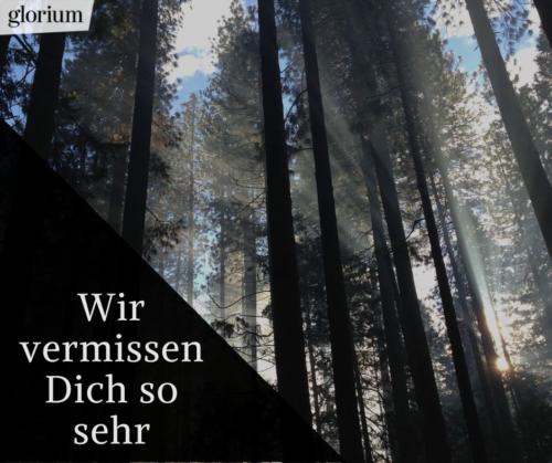 962-trauersprueche-trauerverse-texte-trauerbild-trauerkarte-bilder-trauer-trauerhilfe-karte-glorium-wald-sonnenstrahlen-wir-vermissen-dich-so-sehr