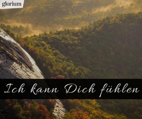 963-trauersprueche-trauerverse-texte-trauerbild-trauerkarte-bilder-trauer-trauerhilfe-karte-glorium-trauerhilfe-wald-berge-ich-kann-dich-fuehlen