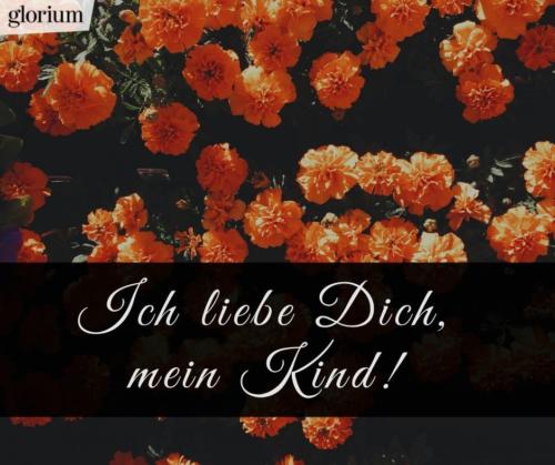 987-trauersprueche-trauerverse-texte-trauerbild-trauerkarte-bilder-trauer-trauerhilfe-karte-glorium-du-fehlst-mir-so-sehr-blumen-orange